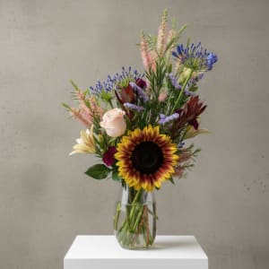 Sunflower Garden