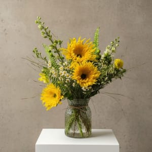 Sunflower Garden