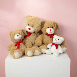 Plush Teddy Bear Flower Bouquet