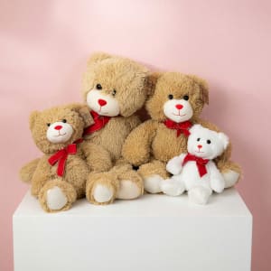 Plush Teddy Bear Flower Bouquet