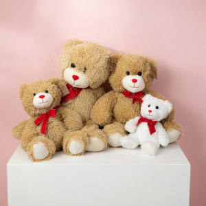 Plush Teddy Bear Flower Bouquet