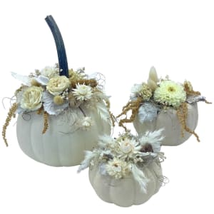 Dried Pumpkin Flower Decor Flower Bouquet