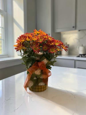 6" FALL MUM IN CERAMIC CONTANIER Flower Bouquet