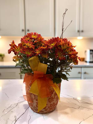 6" FALL MUM IN CERAMIC CONTANIER Flower Bouquet