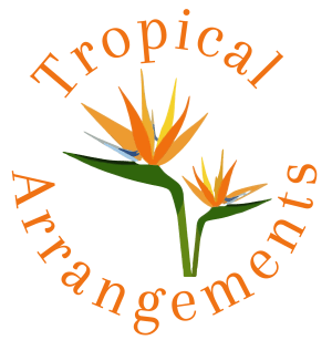 Tropical Arrangements Flower Shop - Randallstown, MD Florist