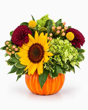 Harvest Sunshine Pumpkin Arrangement Flower Bouquet