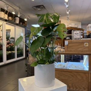 Monstera Flower Bouquet