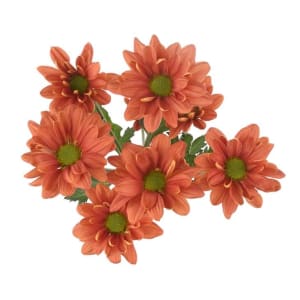 Daisy Flower Bouquet