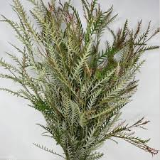 Gravelia Flower Bouquet