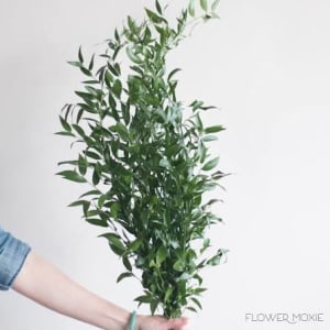 Ruscus Flower Bouquet