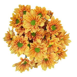 Daisy Flower Bouquet
