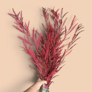Gravelia Flower Bouquet