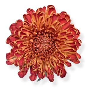 Cremons Flower Bouquet