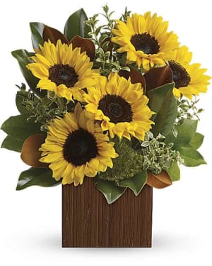 Hello My Sunshine  EBF-592 Flower Bouquet