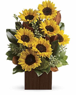 Hello My Sunshine  EBF-592 Flower Bouquet