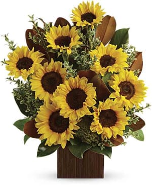 Hello My Sunshine  EBF-592 Flower Bouquet