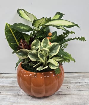 Fall Dish Garden