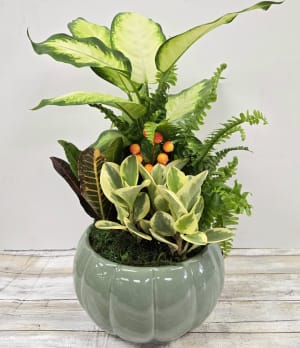 Fall Dish Garden