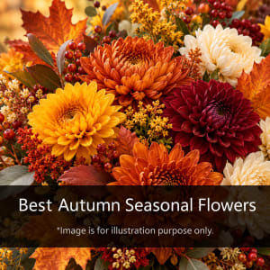 Best Autumn Seasonal Flowers Flower Bouquet