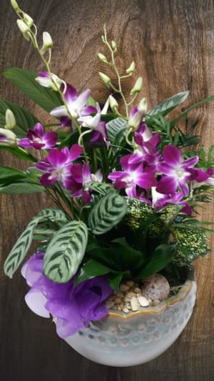 Purple Orchid Dishgarden Flower Bouquet