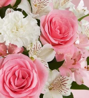 Flower Delivery To Scarborough Hospital General 416 438 2911 3050 Lawrence Ave E Scarborough M1p2t7 Toronto On Flowers Of The World Florist Flower Delivery To Scarborough Hospital General 416 438 2911 3050 Lawrence Ave E Scarborough M1p2t7 Toronto On Flowers Of The World Florist