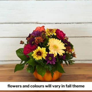 Florist's Choice Pumpkin