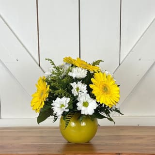 Spot of Sunshine - NEW