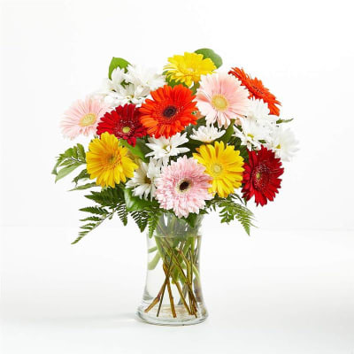 Delightful Daisies Flower Delivery London ON - Forest of Flowers