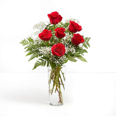 Infatuated - Six Red Roses Flower Delivery London ON - Forest of Flowers