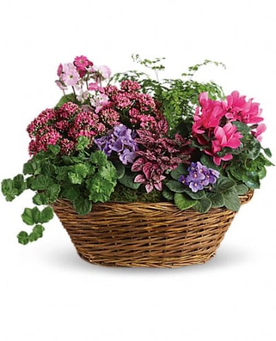 Florist 95120 | 95120 Flower Delivery by Rosies & Posies Florist