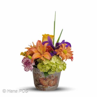 Thanksgiving Flower Delivery Hawesville KY - A&B Florist & Gifts