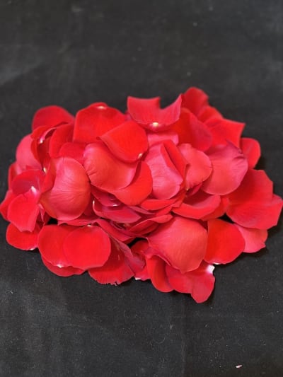 Coloured Rose Petals - Real Flower Petal Confetti Company