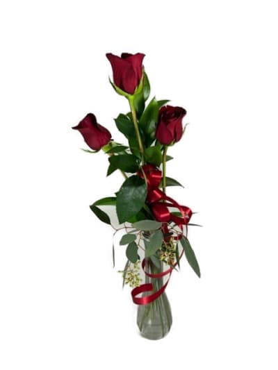 Valentine's Day: Love in Spring, Roses and Carnations Vase – Fresh Flowers  Orlando