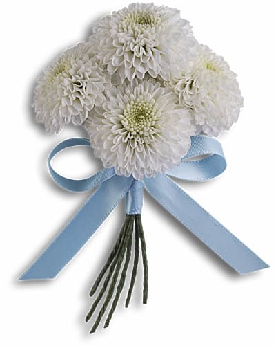 Florist of Mission Hills - Send aster | Flower Delivery in