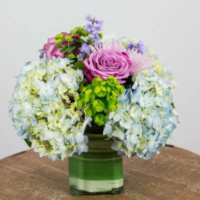 Hydrangeas Flower Delivery Alexandria VA - Foxglove Flowers LLC Hydrangeas Flower Delivery Alexandria VA - Foxglove Flowers LLC