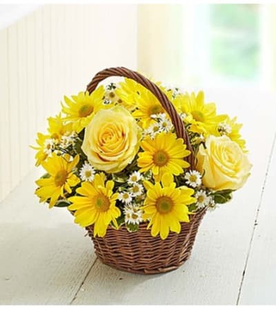 Bunch Of 10 Yellow Roses Wrapped in Tissue Paper #31567