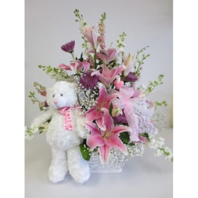 Welcome Baby Girl! Gift Basket in Coral Springs, FL - DARBY'S FLORIST