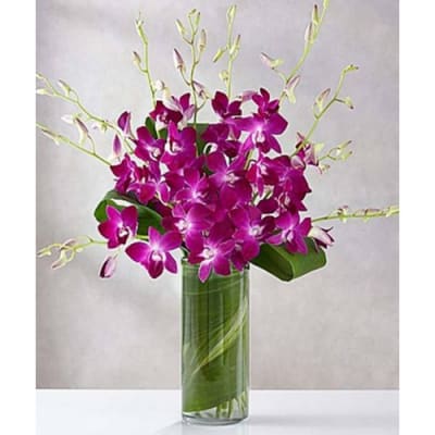 Florist 33309 | 33309 Flower Delivery by Oma's Garden Flower Shop