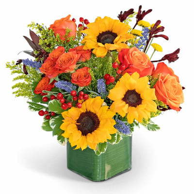 Florist 14548 | 14548 Flower Delivery by Bloomers Floral & Gift