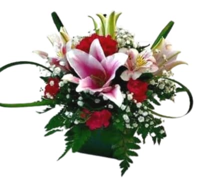 Spring Lily Cube U-3036  Fiesta Flowers Plants & Gifts
