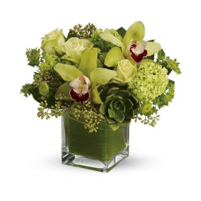 Exotic arrangements