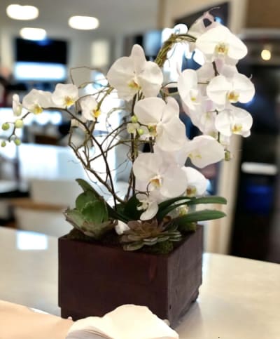 Composición de orquídeas naturales y helechos.🥰 $5,700.00 c/u Consulta por  asesoría personalizada para lograr arreglos perfectos. …