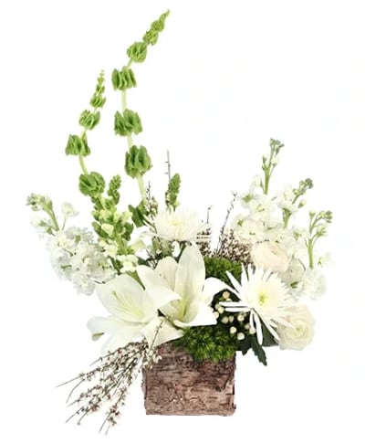 Sparkling Winter Joy Flower Arrangement Flower Delivery Worthington &  Powell OH - Milano's UpTowne Florist