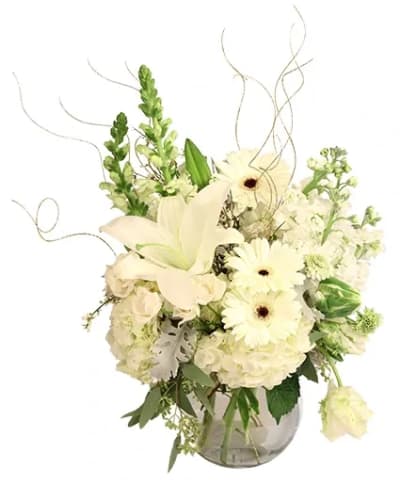 Sparkling Winter Joy Flower Arrangement Flower Delivery Worthington &  Powell OH - Milano's UpTowne Florist