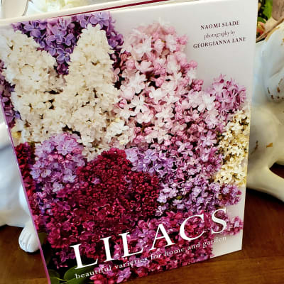 Lilacs, Naomi Slade (hardcover) | Send or deliver locally in Lilacs, Naomi Slade (hardcover) | Send or deliver locally in