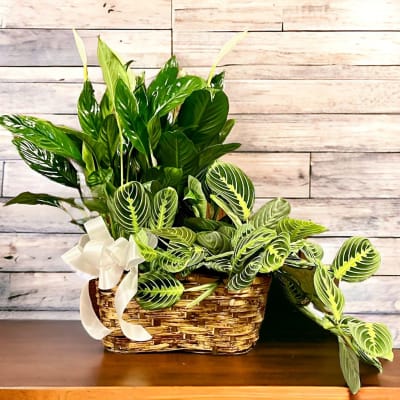 Flower Delivery to Butler-Stumpff & Dyer Funeral Home & Crematory