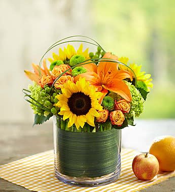Thank You Flower Delivery Bridgeport CT - Fruits and Flowers Thank You Flower Delivery Bridgeport CT - Fruits and Flowers