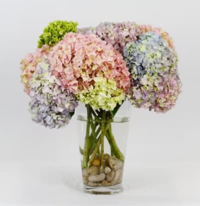 Florist 33443 | 33443 Flower Delivery by Deerfield Florist Florist