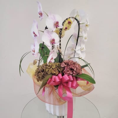 Florist 78746 | 78746 Flower Delivery by Nabi Florist Florist
