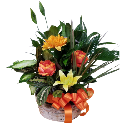Flower Delivery to Wilcoxen Funeral Home Point Pleasant WvV 25550